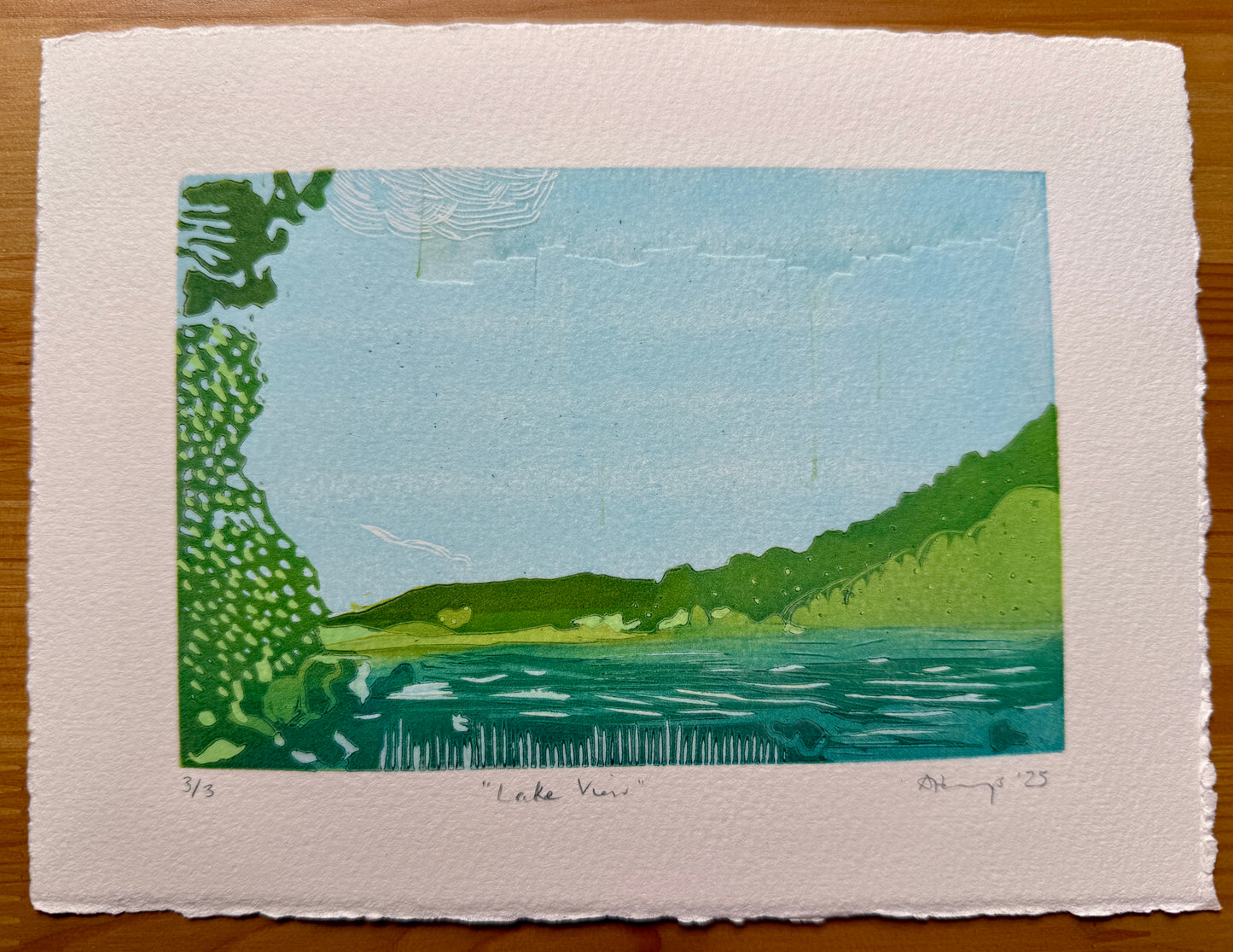 "Lake View" - North Wales