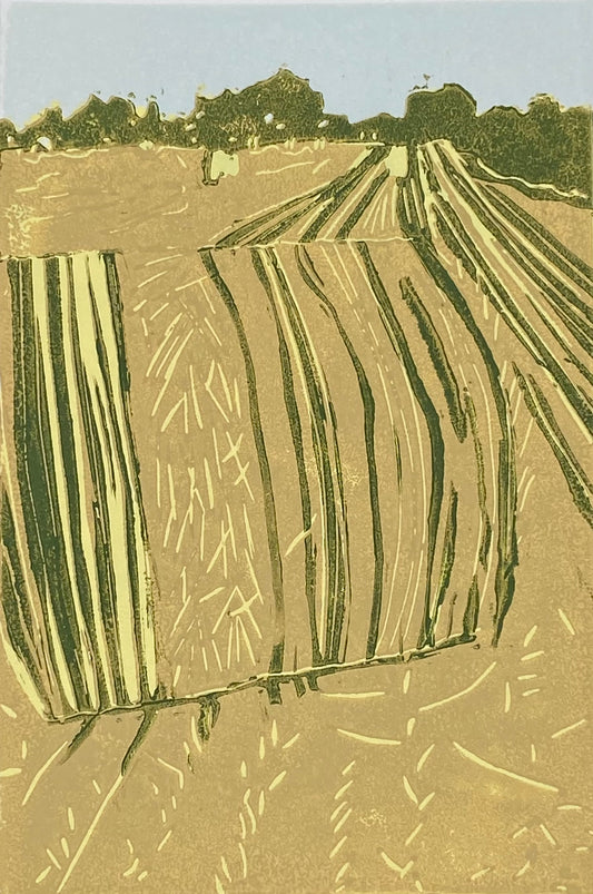 "Cut Corn II"
