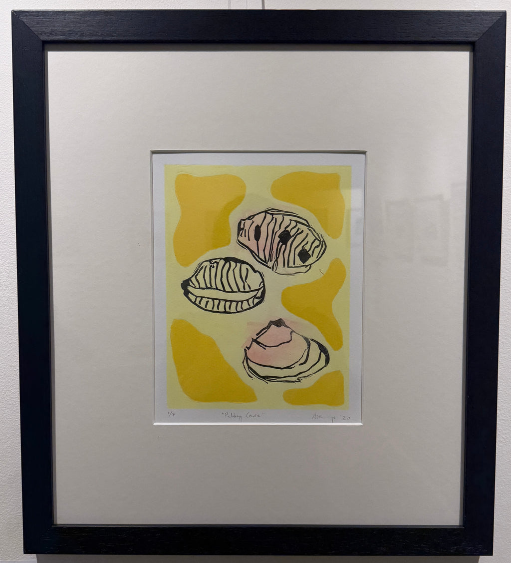 "Pabbay Cowrie"