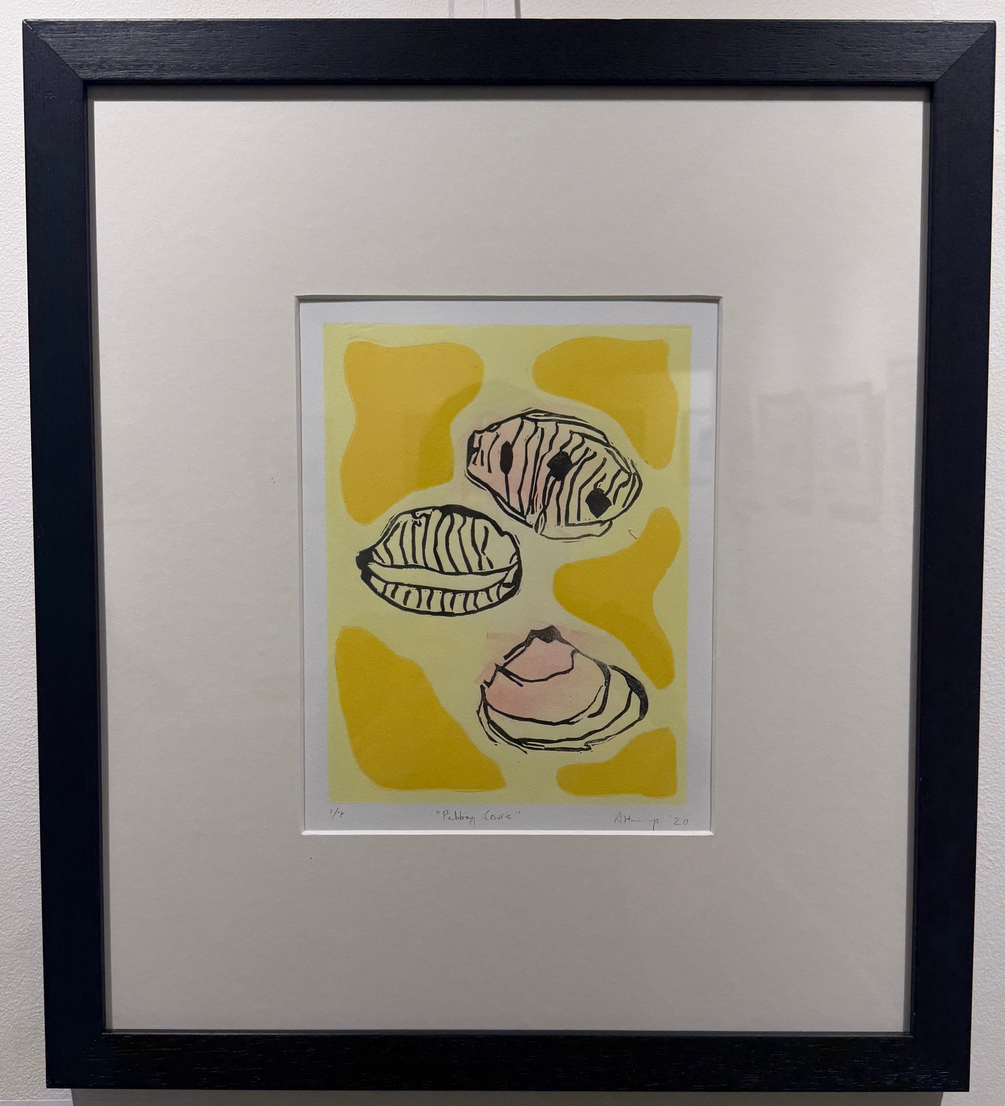 "Pabbay Cowrie"