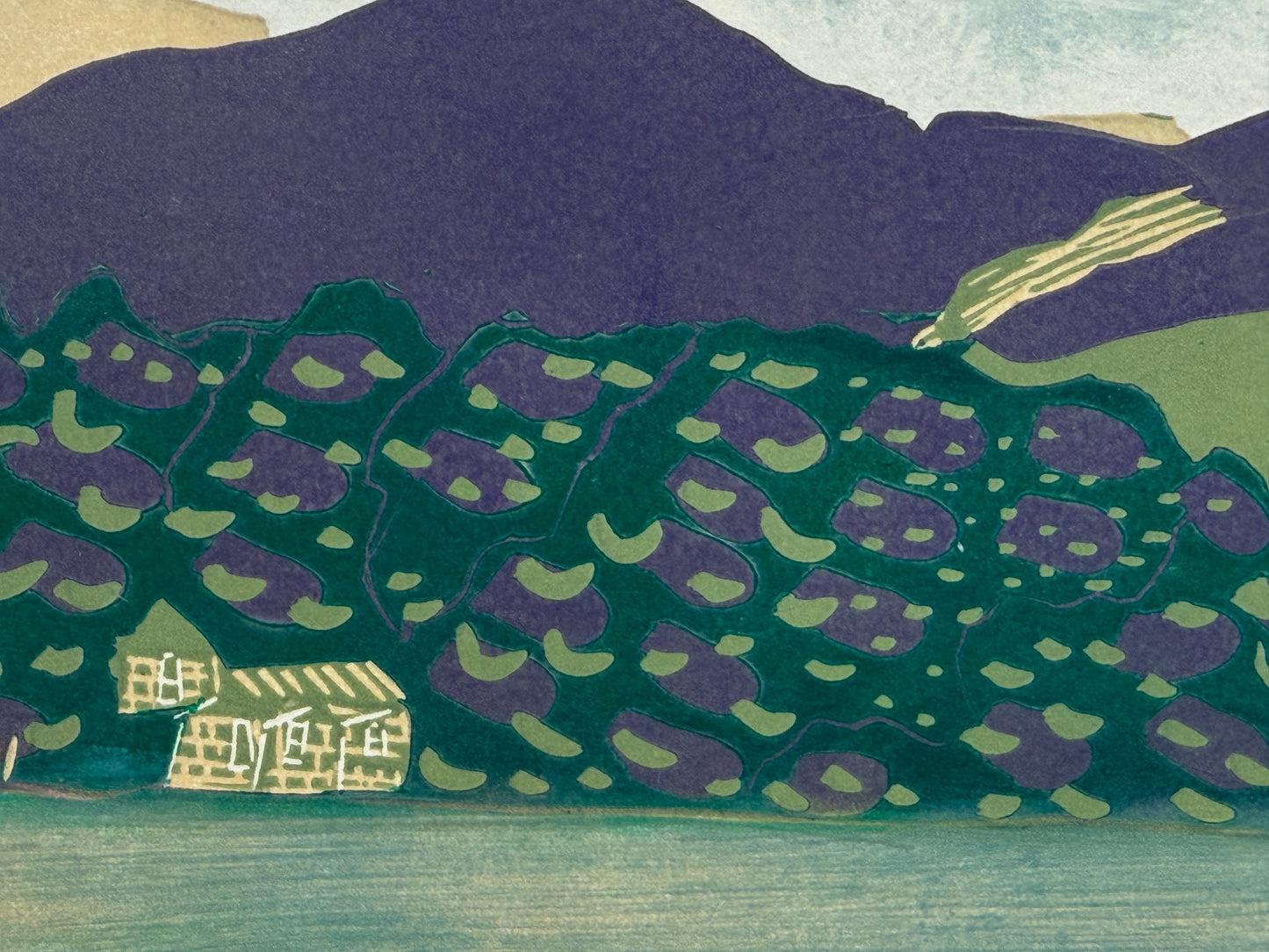 "Derwent Water study IV"