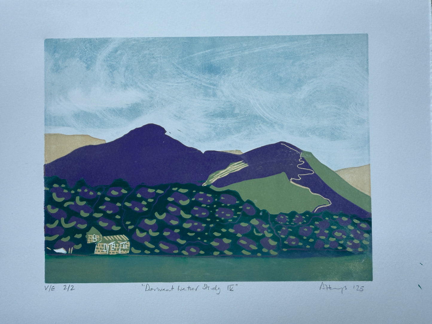 "Derwent Water study IV"
